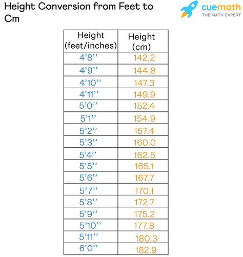 176cm 155cm|Height Converter